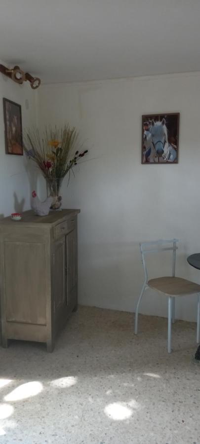Petite Maison Dans La Campagne A 10 Mn A Pied Du Centre Ville อาร์ลส์ ภายนอก รูปภาพ