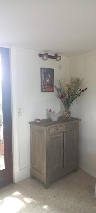 Petite Maison Dans La Campagne A 10 Mn A Pied Du Centre Ville อาร์ลส์ ภายนอก รูปภาพ