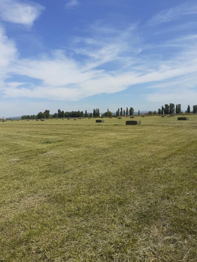 Petite Maison Dans La Campagne A 10 Mn A Pied Du Centre Ville อาร์ลส์ ภายนอก รูปภาพ